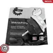 ESEN SKV Lenker, Radaufhängung 69SKV460