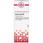 DHU-Arzneimittel GmbH & Co. KG Coccus Cacti D 6 20 ML
