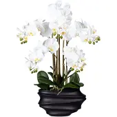 Creativ Green Kunstorchidee "Phalaenopsis" in Design-Kunststoffvase