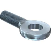 Fischer Augenschraube AG 10x25