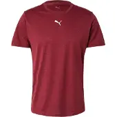Puma Herren Shirt M TAD ESSENTIALS HEATHER CAT Tee (CF small cat)