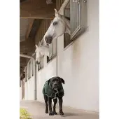 Diego & Louna Teddy Nylon Hundejacke