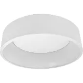 Ledvance SMART+, Intelligente Deckenbeleuchtung, WLAN, Grau, Polymethylmethacrylat (PMMA), 3000 K, 6500 K