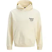 Jack & Jones Herren Pullover 12283054