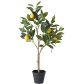 Boltze Topfpflanze "Zitronenbaum" in Grün - (B)30 x (H)73 x (T)20 cm - onesize