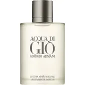 Giorgio Armani Acqua Di Giò Aftershave 100 ml