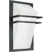 Eglo PARK, Wandbeleuchtung für den Außenbereich, Anthrazit, Aluminium, Glas, IP44, Eingang, Garage, Garten, Patio, I