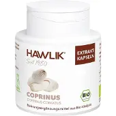 Hawlik Coprinus Extrakt Kapseln Vorteilsdose 240 St