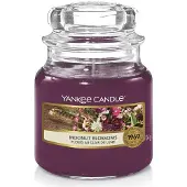 Yankee candle Duftkerze Moonlight Blossoms Classic Small Jar 104 g