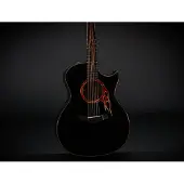 Taylor Custom Hot Rod 3.0 B5034