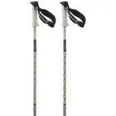 Salomon Polar Pro S3 Stöcke