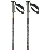Salomon Polar Pro S3 Stöcke