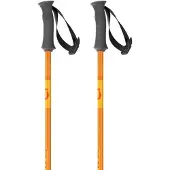SCOTT Element Junior Stöcke