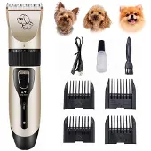 INF Hundeschermaschine mit Zubehör Schwarz/Gold