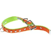 Ferplast Dual 25 Mm 45 Cm Hundehalsband