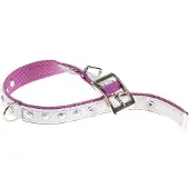 Ferplast Dual 25 Mm 45 Cm Hundehalsband