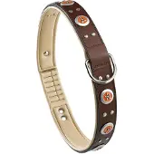 Ferplast Giotto 35 Mm 76 Cm Hundehalsband