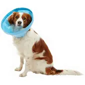 Kruuse Soft Flex Elizabethan 25 Cm Hundehalsband 5 Einheiten