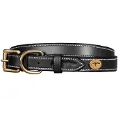 Dyon flaches Lederhalsband für Hunde