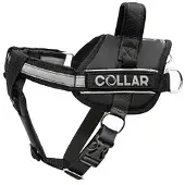 Collar Pet Dog Extreme Police Hundegeschirr