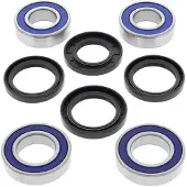 All Balls Racing SP 1039987 Radlagerkit hinten für MANA, SHIVER, DORSO, RSV1000, SL1000 passend fuer APRILIA RSV 1000