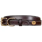 Dyon flaches Lederhalsband für Hunde