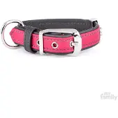 My Family Firenze Hundehalsband