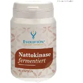 Evolution Nattokinase fermentiert, Kapseln 60Stück 60 St