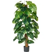Beliani Dieffenbachia