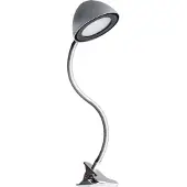 Licht-Erlebnisse LED Schreibtischlampe Edelstahl Flexarm 60 cm hoch Klemmleuchte in Silber neutralweiß 4100 K 248 lm