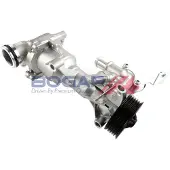 BOGAP Wasserpumpe Premium C4234144