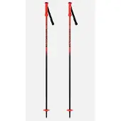 Rossignol Hero Junior Stöcke
