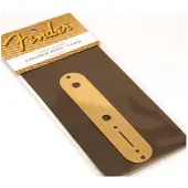 Fender Vintage Telecaster Bedienelemente 2-Loch (Gold)