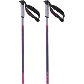 Salomon Arctic S3 Xl Stöcke