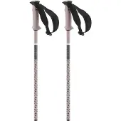 Salomon Polar Pro Stöcke