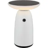 Globo 36625W, Aluminium, Kunststoff, III, IP54, LED, 10 W, 230 V