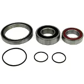 BLACK BEARING Perline/cx Lager