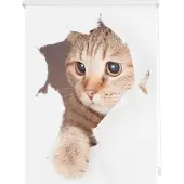 Lichtblick Rollo Klemmfix, ohne Bohren, Verdunkelung, Katze - Weiß Braun 120 x 150 cm (B x L)