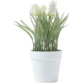 Homescapes KUNSTBLUMEN Tulpen weiß im Blumentopf, 22 cm