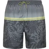 Protest Herren Beachshort PRTELJAS Huntergreen S
