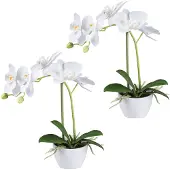 Creativ Green Kunstorchidee "Orchidee Phalaenopsis" im Design-Topf