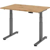 Hammerbacher XDSM12 elektrisch höhenverstellbarer Schreibtisch asteiche rechteckig, T-Fuß-Gestell grau 120,0 x 80,0 cm