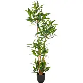 Creativ Green Kunstbaum "Ficus maclellandii" mit echtem Holzstamm