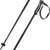 Head Herren Alpin-Skistock Frontside black white