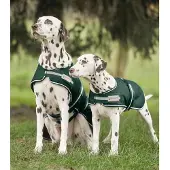 Waldhausen Hundedecke 0g Regendecke Tannengrün 50 cm