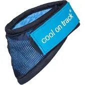 Back on track Cooling Bandana