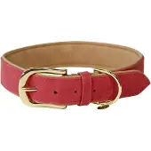 Kentucky Hunde Halsband vegan Leder