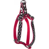 Martin sellier XS
