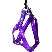 Martin sellier XS
