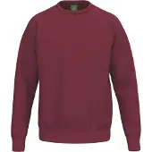 Erima Pullover TS